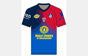 MAILLOT REPLICA SENIORS